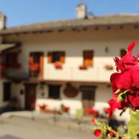 Agriturismo Au Jardin Fleuri Antey-Saint-André Zewnętrze zdjęcie
